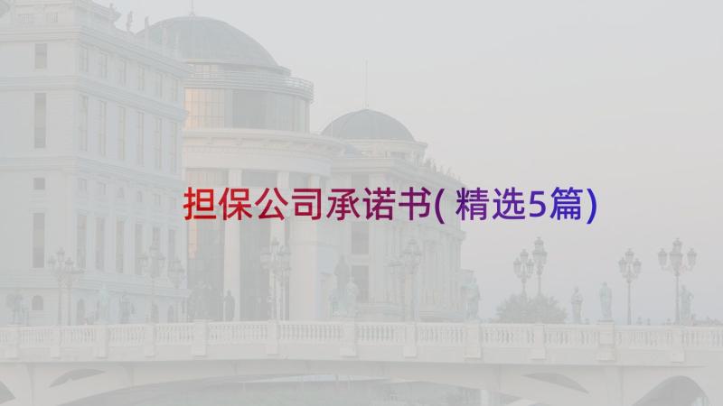 担保公司承诺书(精选5篇)