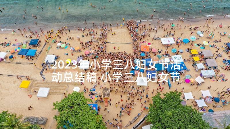 2023年小学三八妇女节活动总结稿 小学三八妇女节活动总结(精选5篇)