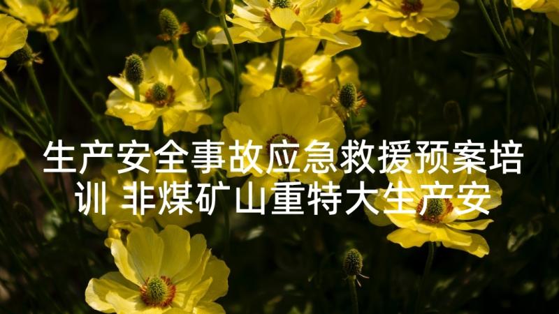 生产安全事故应急救援预案培训 非煤矿山重特大生产安全事故应急救援预案(汇总5篇)