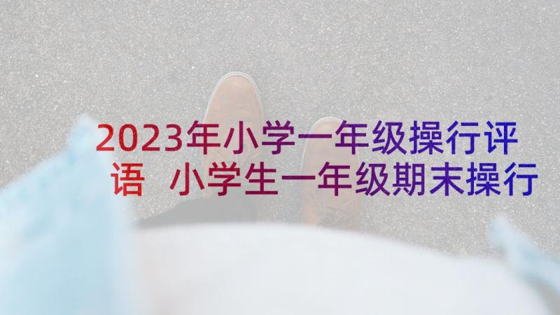 2023年小学一年级操行评语 小学生一年级期末操行评语(模板10篇)