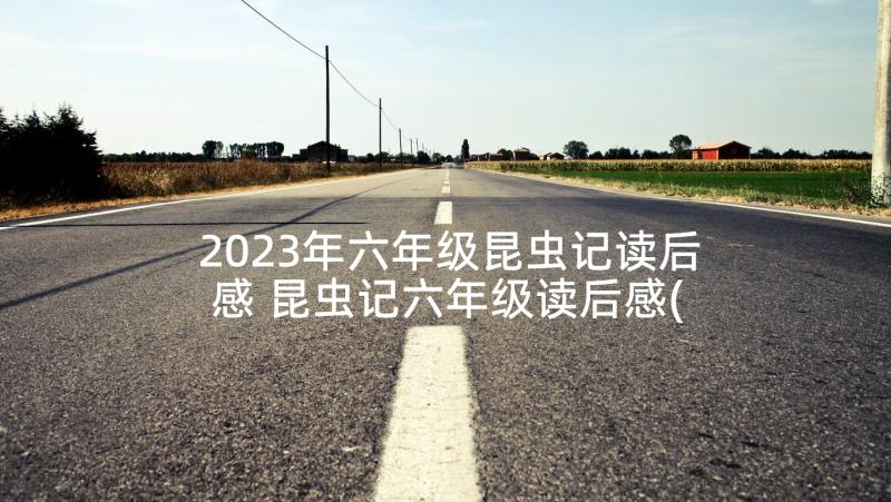 2023年六年级昆虫记读后感 昆虫记六年级读后感(通用5篇)