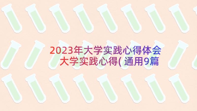 2023年大学实践心得体会 大学实践心得(通用9篇)