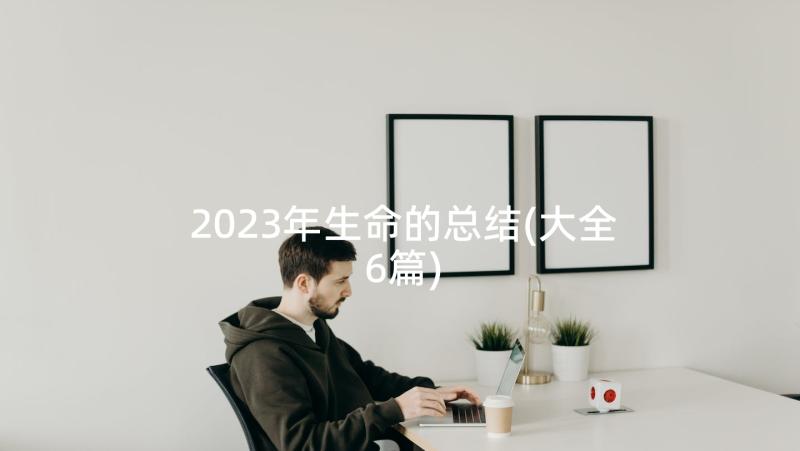 2023年生命的总结(大全6篇)