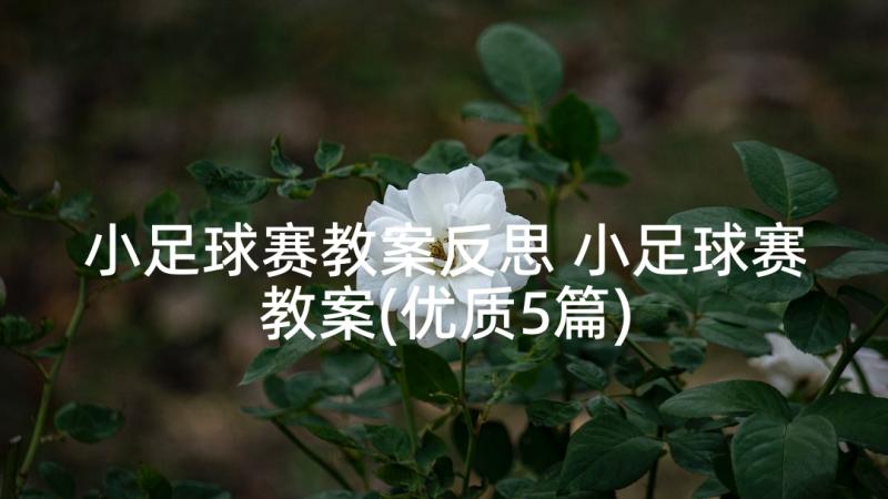 小足球赛教案反思 小足球赛教案(优质5篇)