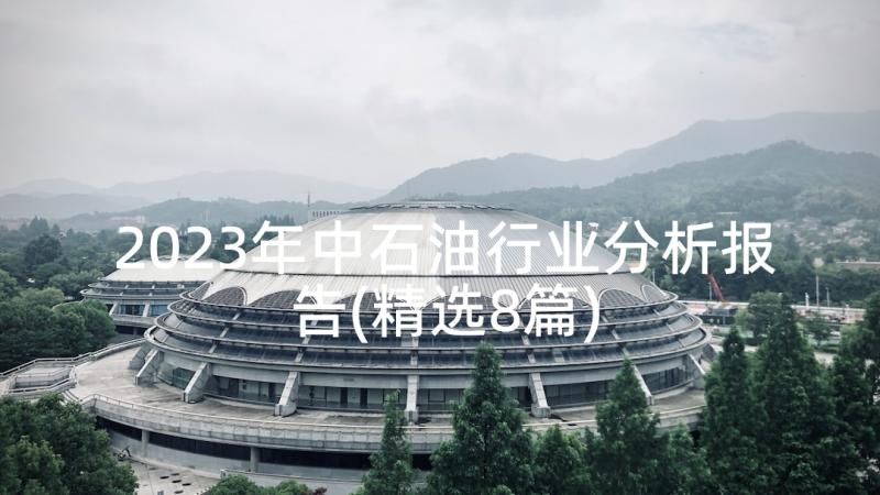 2023年中石油行业分析报告(精选8篇)