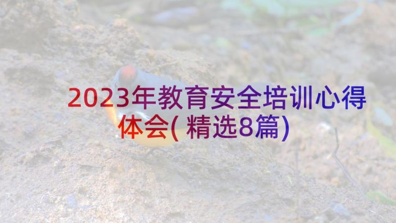 2023年教育安全培训心得体会(精选8篇)