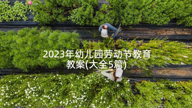 2023年幼儿园劳动节教育教案(大全5篇)