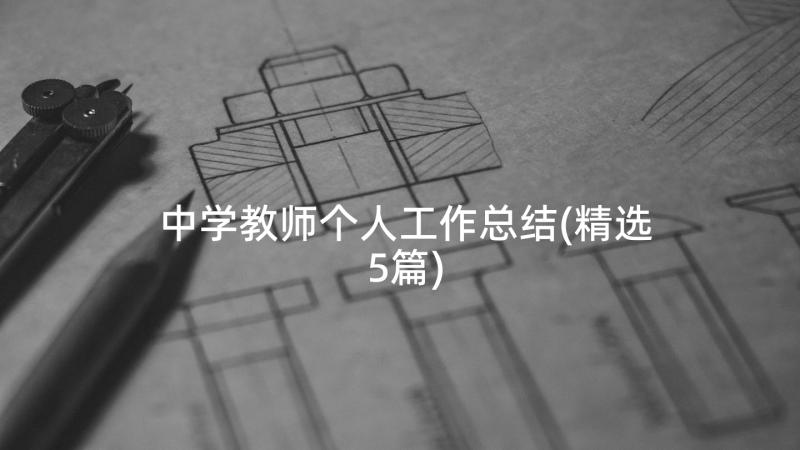 中学教师个人工作总结(精选5篇)