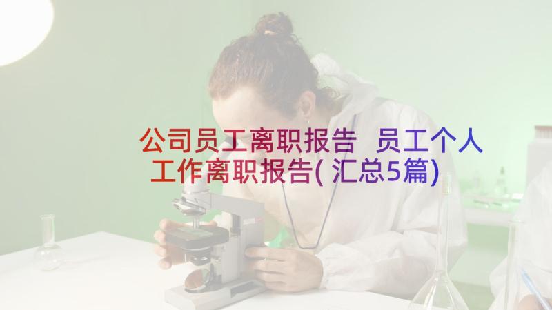 公司员工离职报告 员工个人工作离职报告(汇总5篇)