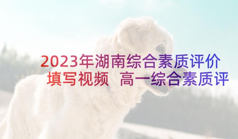 2023年湖南综合素质评价填写视频 高一综合素质评价评语(实用5篇)