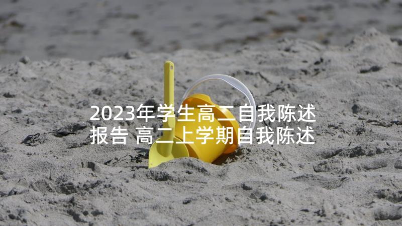 2023年学生高二自我陈述报告 高二上学期自我陈述报告(优质7篇)