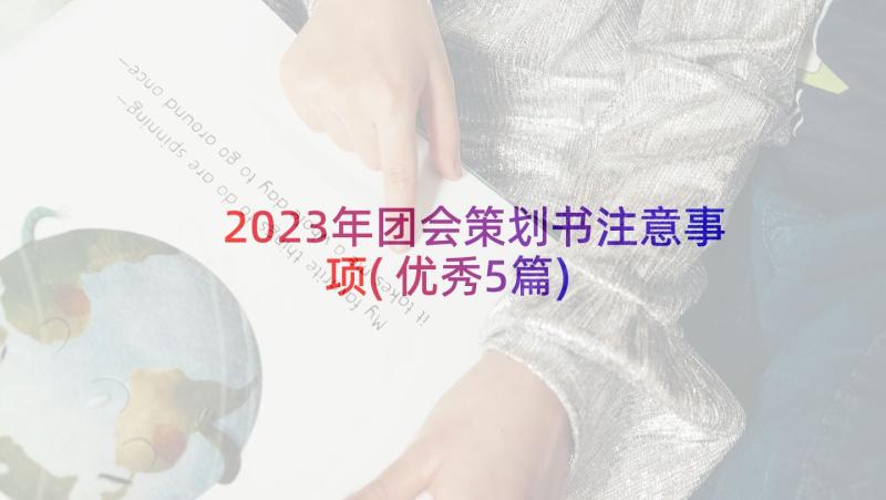 2023年团会策划书注意事项(优秀5篇)