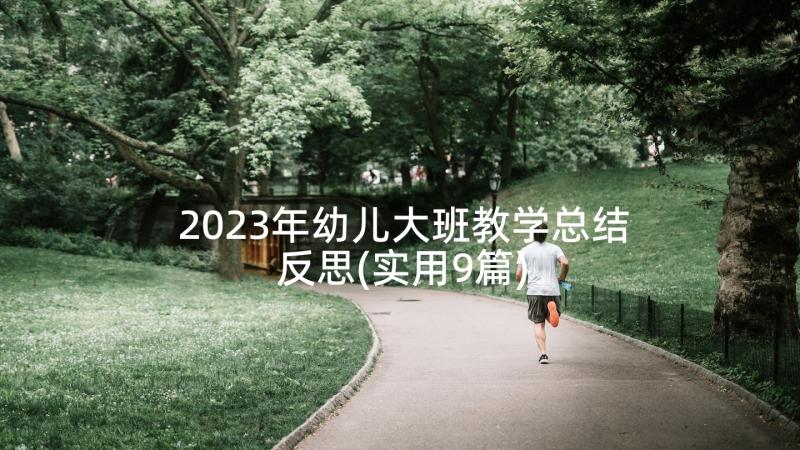 2023年幼儿大班教学总结反思(实用9篇)