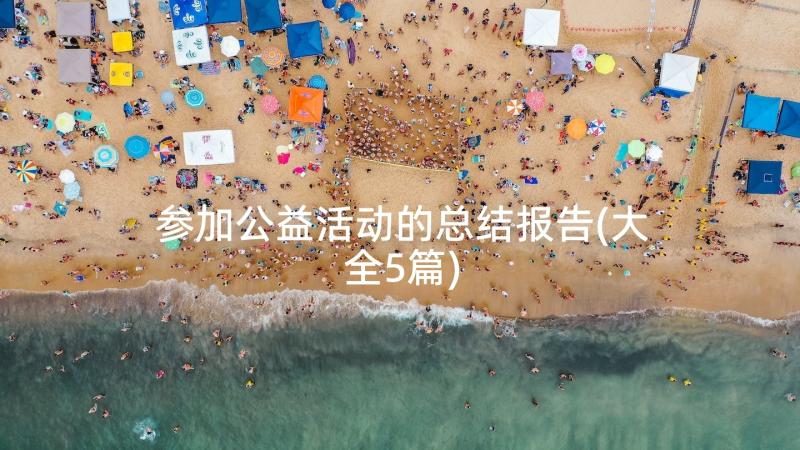 参加公益活动的总结报告(大全5篇)