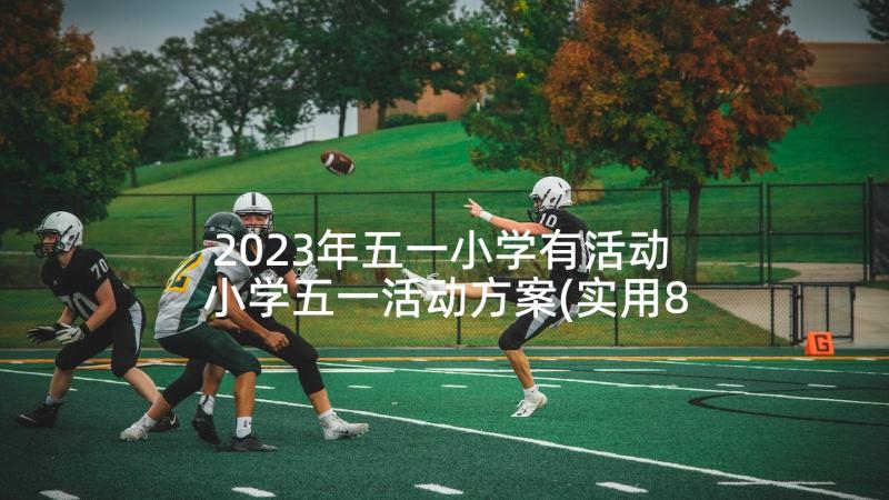 2023年五一小学有活动 小学五一活动方案(实用8篇)