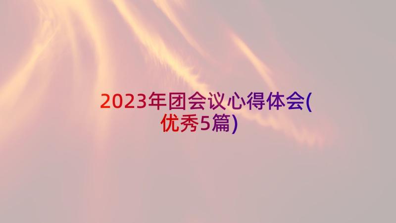 2023年团会议心得体会(优秀5篇)