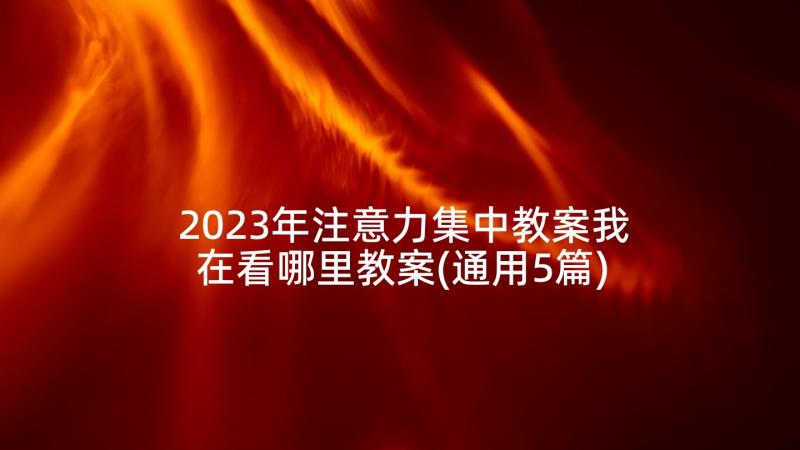 2023年注意力集中教案我在看哪里教案(通用5篇)