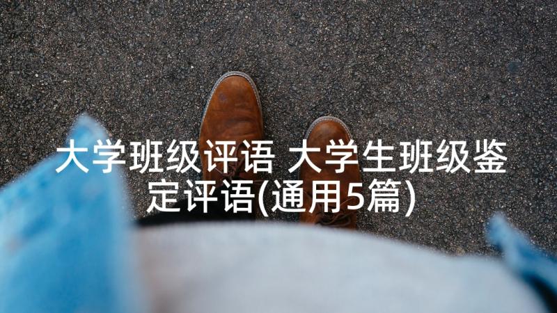 大学班级评语 大学生班级鉴定评语(通用5篇)