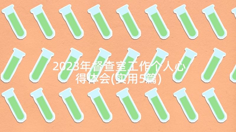 2023年督查室工作个人心得体会(实用5篇)