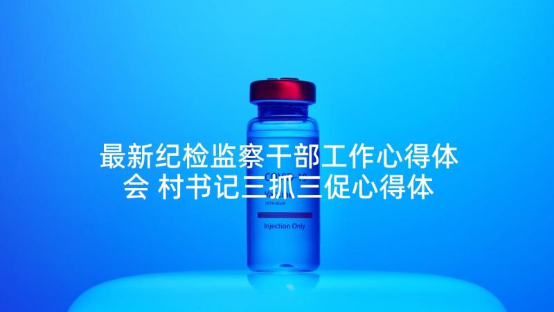 最新纪检监察干部工作心得体会 村书记三抓三促心得体会(大全6篇)