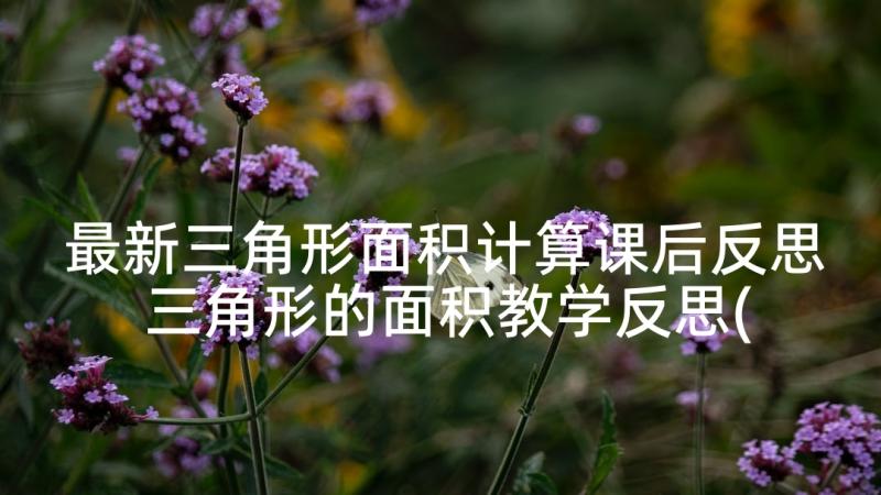 最新三角形面积计算课后反思 三角形的面积教学反思(汇总5篇)