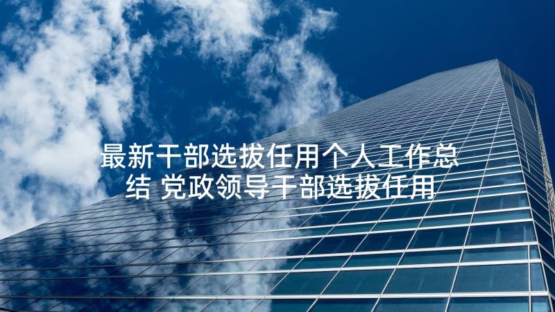 最新干部选拔任用个人工作总结 党政领导干部选拔任用工作条例(模板5篇)