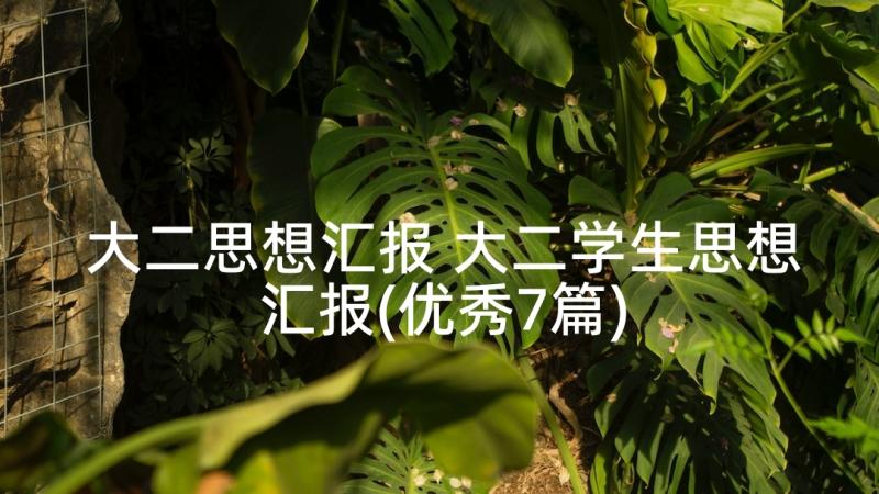 大二思想汇报 大二学生思想汇报(优秀7篇)