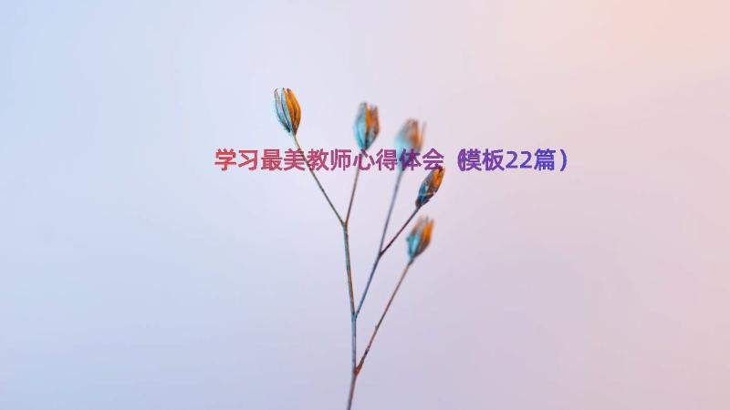 学习最美教师心得体会（模板22篇）