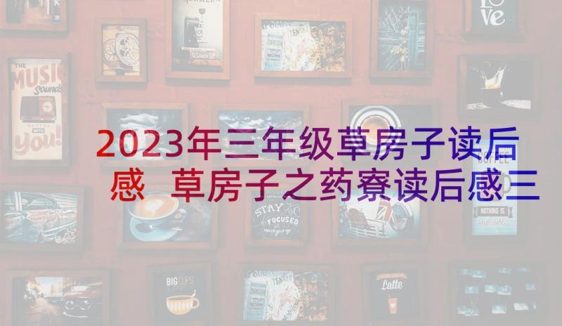 2023年三年级草房子读后感 草房子之药寮读后感三年级小学(汇总5篇)