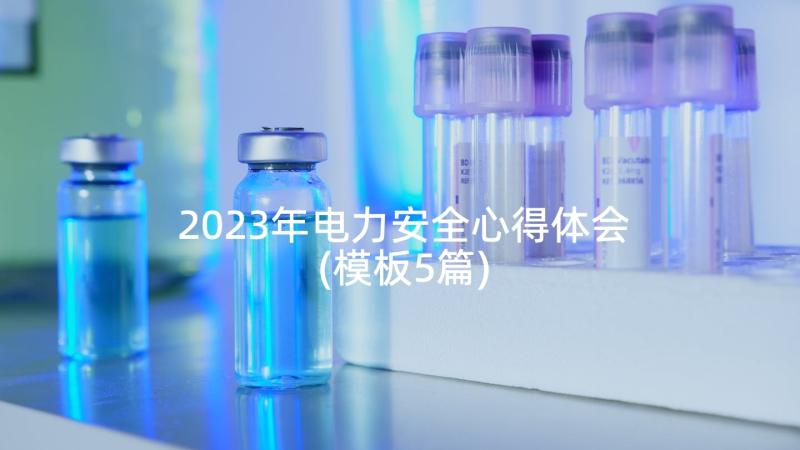 2023年电力安全心得体会(模板5篇)