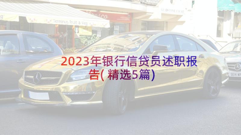 2023年银行信贷员述职报告(精选5篇)