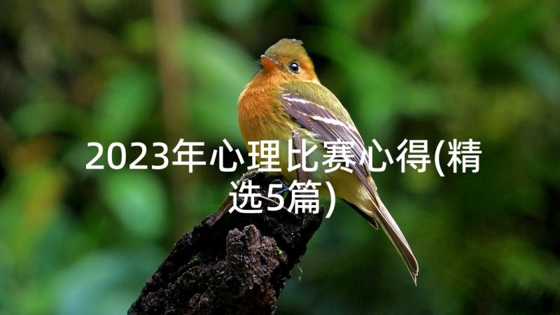 2023年心理比赛心得(精选5篇)