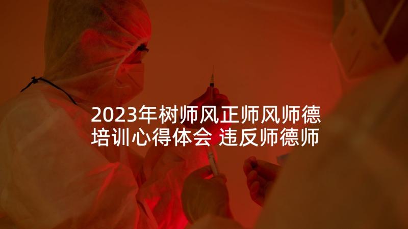 2023年树师风正师风师德培训心得体会 违反师德师风培训心得体会(优秀9篇)