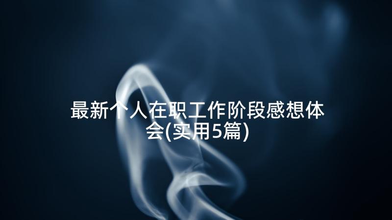 最新个人在职工作阶段感想体会(实用5篇)