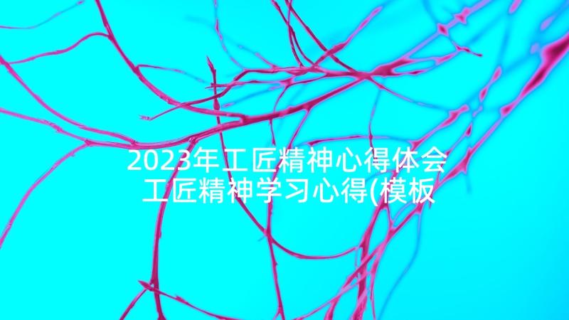 2023年工匠精神心得体会 工匠精神学习心得(模板6篇)