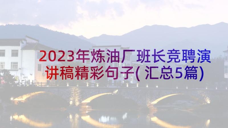 2023年炼油厂班长竞聘演讲稿精彩句子(汇总5篇)