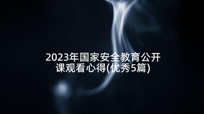 2023年国家安全教育公开课观看心得(优秀5篇)