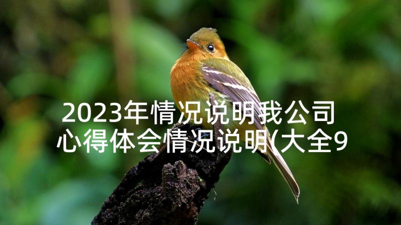 2023年情况说明我公司 心得体会情况说明(大全9篇)