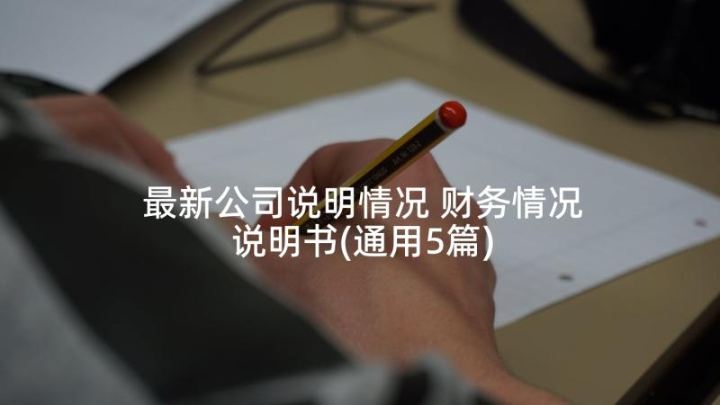 最新公司说明情况 财务情况说明书(通用5篇)