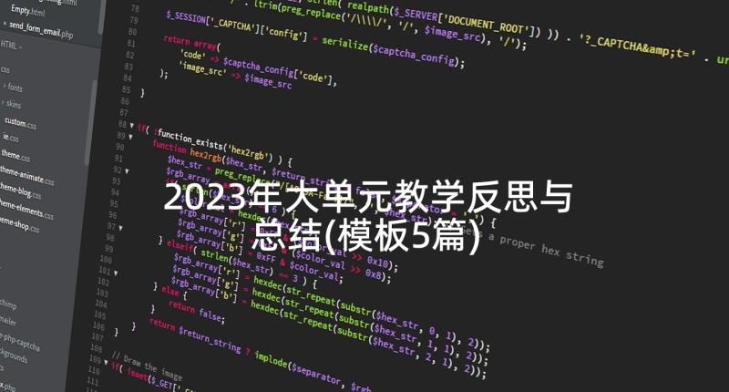 2023年大单元教学反思与总结(模板5篇)