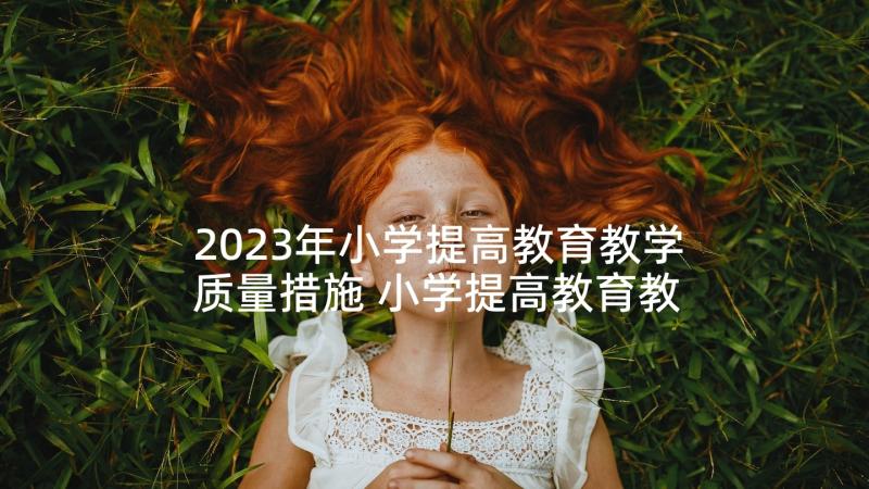 2023年小学提高教育教学质量措施 小学提高教育教学质量方案(精选5篇)