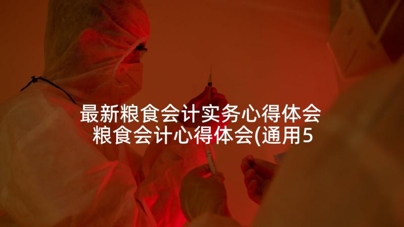 最新粮食会计实务心得体会 粮食会计心得体会(通用5篇)