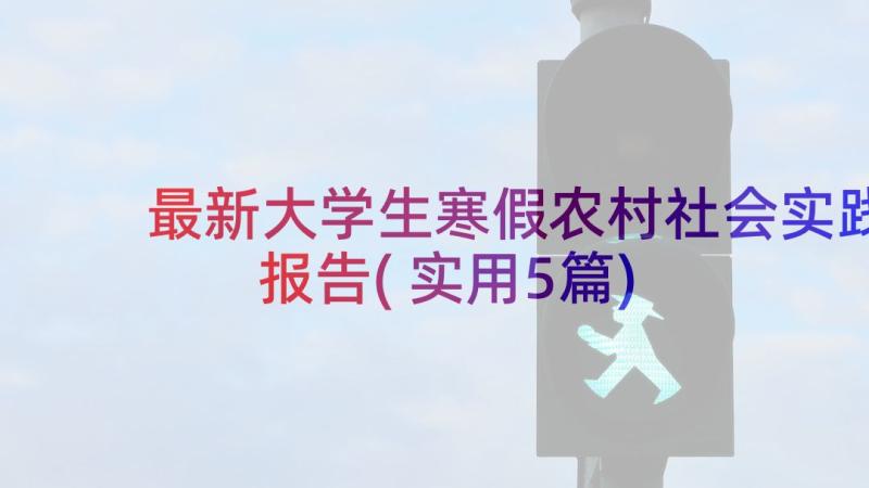 最新大学生寒假农村社会实践报告(实用5篇)