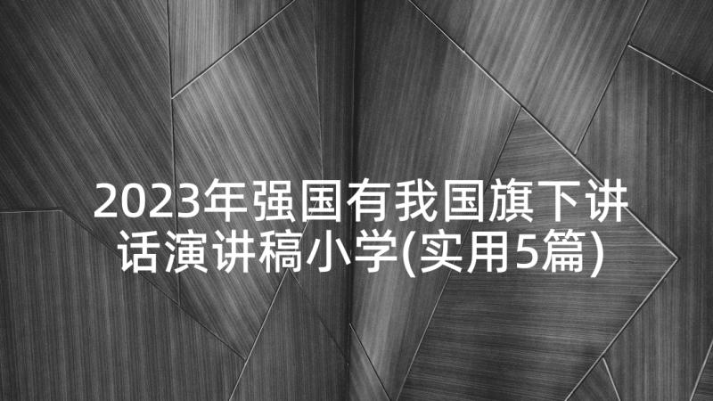 2023年强国有我国旗下讲话演讲稿小学(实用5篇)