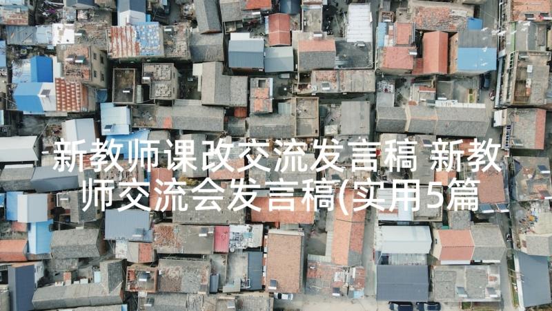 新教师课改交流发言稿 新教师交流会发言稿(实用5篇)