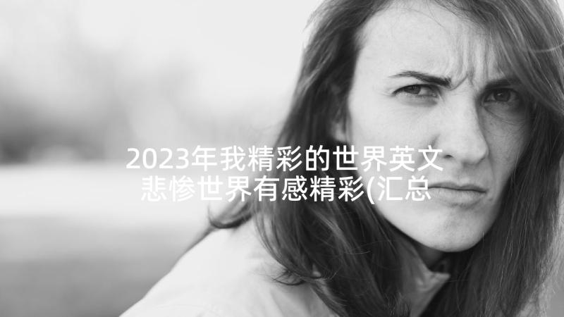 2023年我精彩的世界英文 悲惨世界有感精彩(汇总5篇)