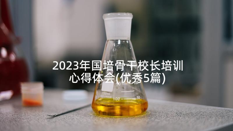 2023年国培骨干校长培训心得体会(优秀5篇)