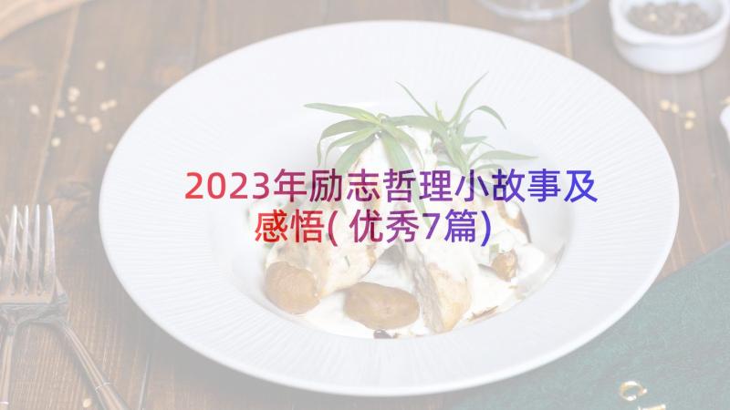 2023年励志哲理小故事及感悟(优秀7篇)