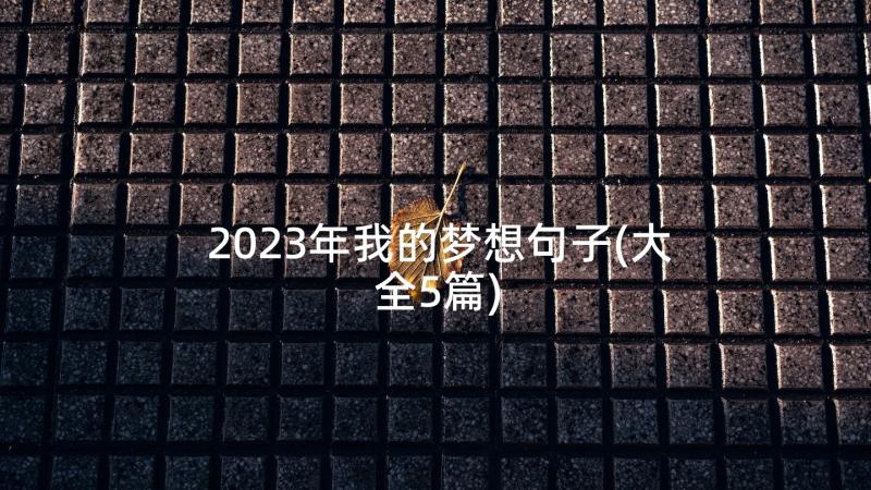 2023年我的梦想句子(大全5篇)