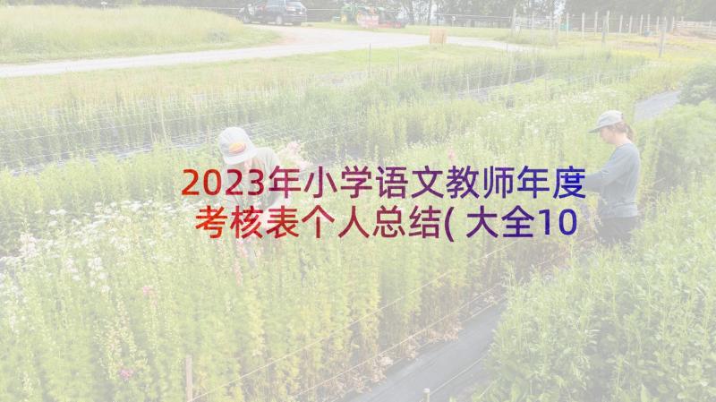 2023年小学语文教师年度考核表个人总结(大全10篇)